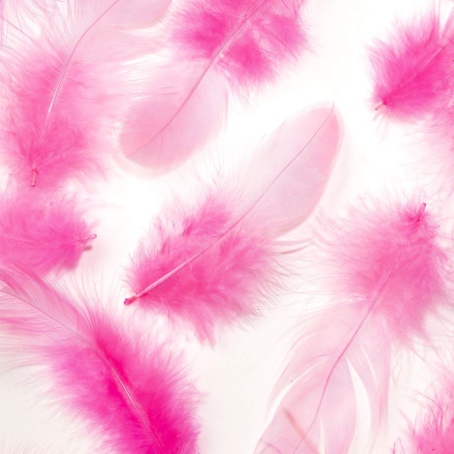 Amazon | 装飾 ディスプレイ【カマタック】装飾用の羽根 募金羽根